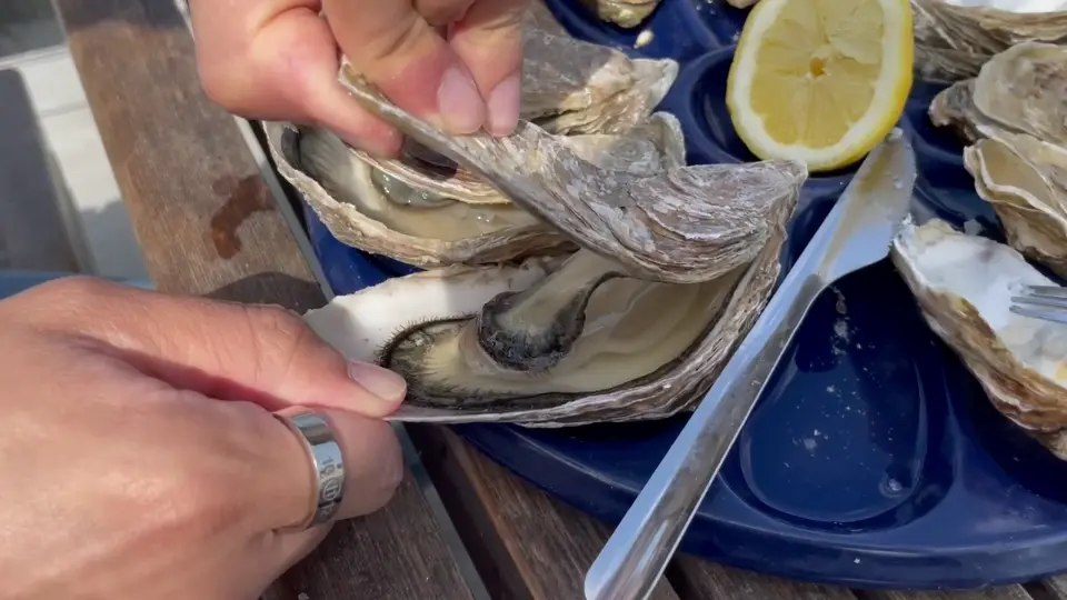 Hands opening fresh Cancale oyster with specialized knife, demonstrating traditional oyster shucking technique at seaside market in Brittany